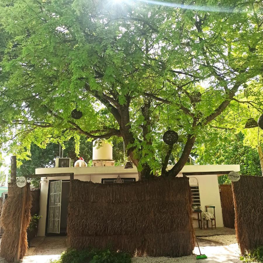 Casa Arte Bacalar Appartamento Esterno foto